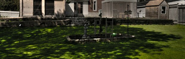 Our creepy backyard home to the pet cemetary