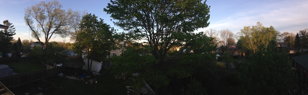 Panoramic of our view at sunset