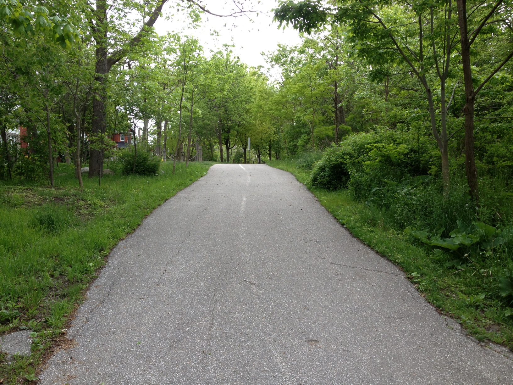 Path to the waterfront trail