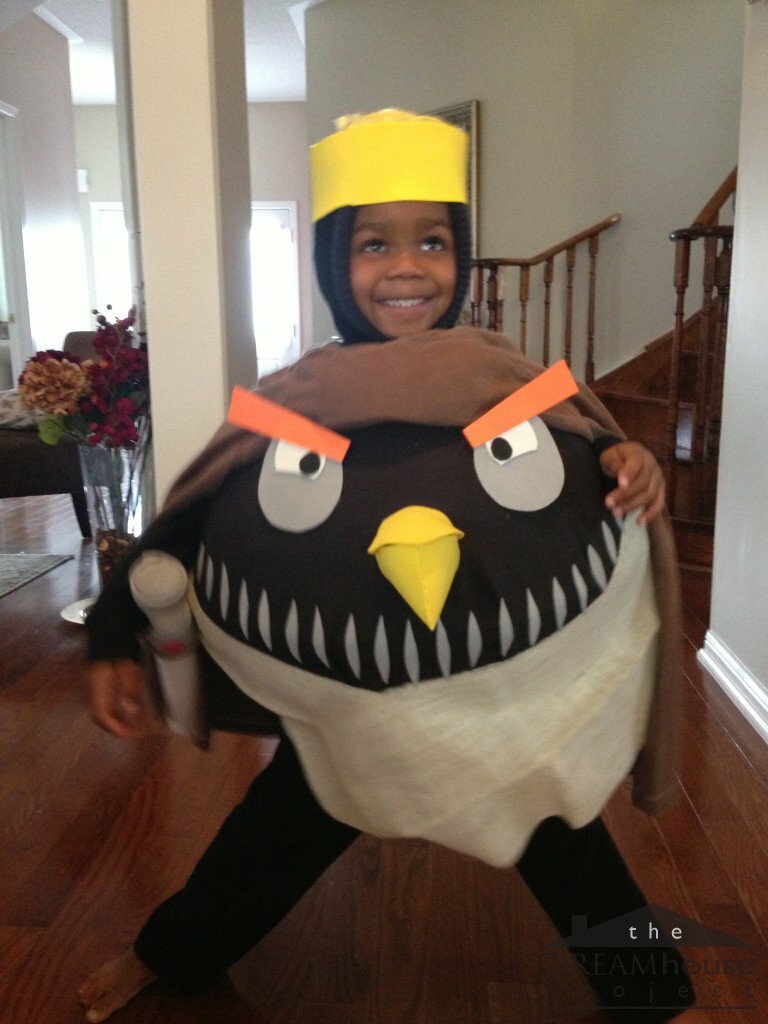 Kash's DIY Angry Birds Costume