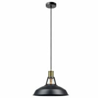 Trinton 1-Light Inverted Pendant