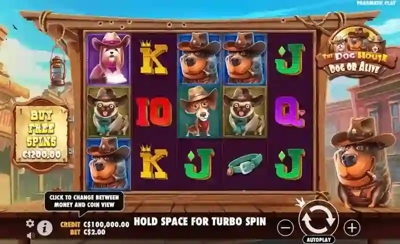 Dog Or Alive Background